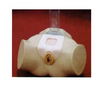 Advanced female bladder puncture model, a new choice for teaching and training