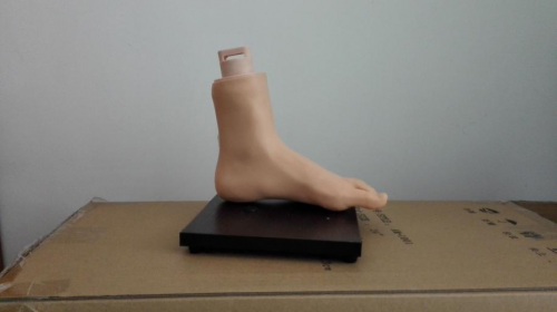 Analysis of simulation model of intravenous injection in lower limbs and feet