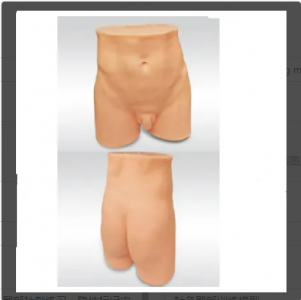  Hip training model of acupuncture: a dual choice of teaching and practice