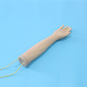 Why medical training is inseparable from venipuncture arm model?
