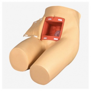 From theory to practice: the bridge between enema and assisted defecation training model