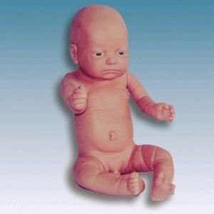 Why is a full-term baby model important?
