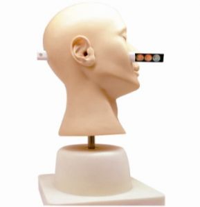 What are the common auxiliary diagnostic methods of ear diagnosis model?