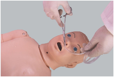 What are the differences between the nasogastric tube model and real clinical practice?