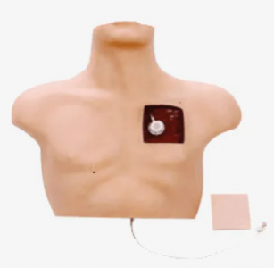 What are the application scenarios of the intravenous intervention training model?