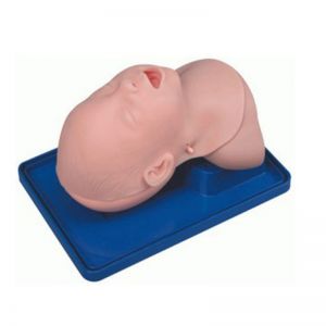 Infant tracheal intubation model: difficulties and solutions in training
