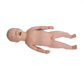 Neonatal care training model: Toy or professional tool?