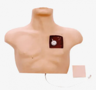 Venous intervention training model: Making medical practice safer and more efficient