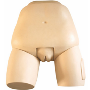 Uterine floor examination evaluation model: Help midwifery talent training