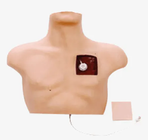 Rapid growth of interventional novices, intravenous interventional training models to accelerate