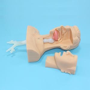 Why is sputum aspiration exercise model indispensable in first aid skills training?