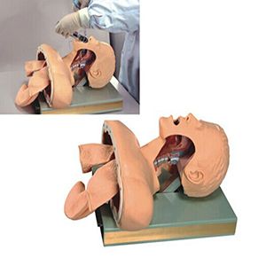 Can advanced tracheal intubation training Model build a bridge of skill improvement?