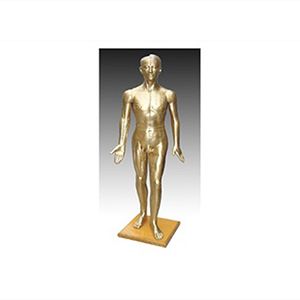 From theory to practice, how does bronze acupuncture help the inheritance of acupuncture skills?