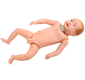 Infant tracheotomy nursing model: helping to improve skills