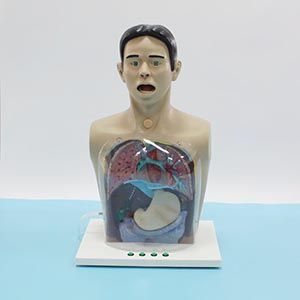 Advanced transparent gastric lavage model, the preferred tool for medical clinical practice?