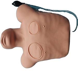 Can a pneumothorax model be used to improve clinical judgment?
