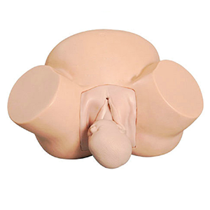 Midwifery training model: Can it effectively shorten the transition period from theory to practice? 