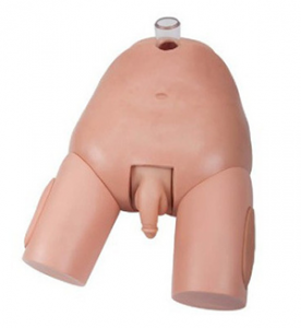 Operation Guide for Advanced Male Bladder Puncture Model