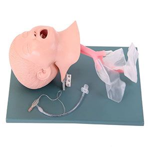 The principle of advanced tracheal intubation models for children