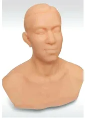 The operation process of the acupuncture head training model