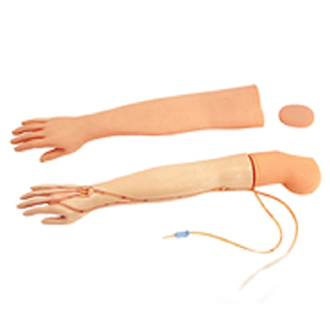 A full-function venipuncture and infusion arm model