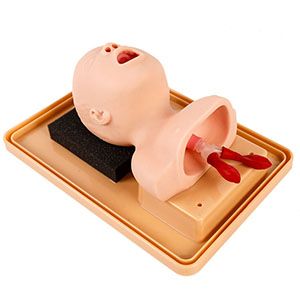 Success Criteria for Neonatal Tracheal Intubation Training Models