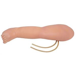 Precautions for the model of venous puncture in the infant's leg