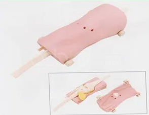 Knee arthroscopy examination model
