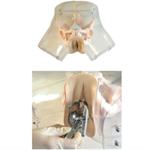 The function of the advanced transparent film scraping model