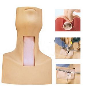 The purpose of the advanced tracheotomy and intubation training model