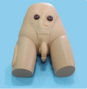 1711676720437.png