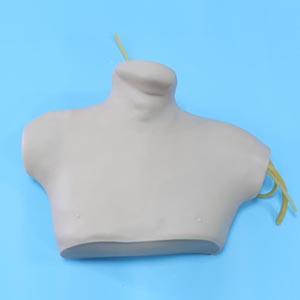 Central venipuncture intubation model.jpg