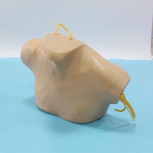 L68B.jpg