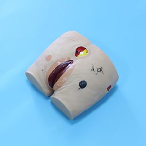 Model:BIX-H10