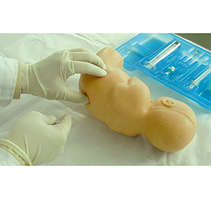Neonatal Lumbar Puncture Model