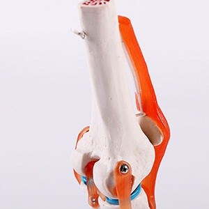 BIX-A1025