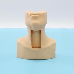 medical emergency model