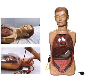 Multifunctional gastric lavage model