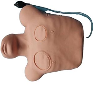 Pneumothorax model