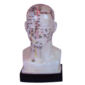 Four functions of the head acupoint model