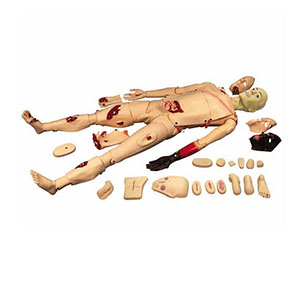 Full-functioning Trauma Caregiver