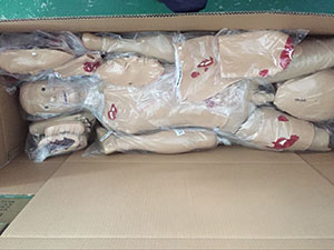 Medical Nursing Model