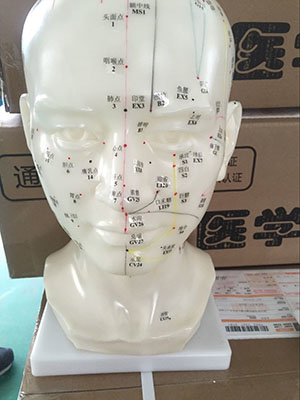 Y1013+头针灸.jpg