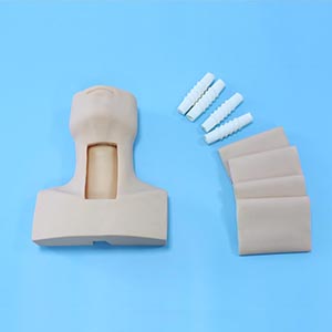 Tracheotomy training model