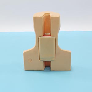 Medical Emergency model