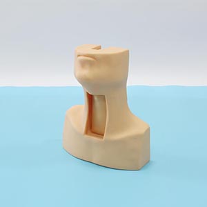 Tracheotomy training model