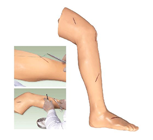 Surgical leg suture training model