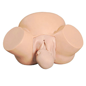 Midwifery training model