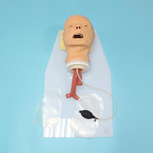 Classical tracheal intubation model